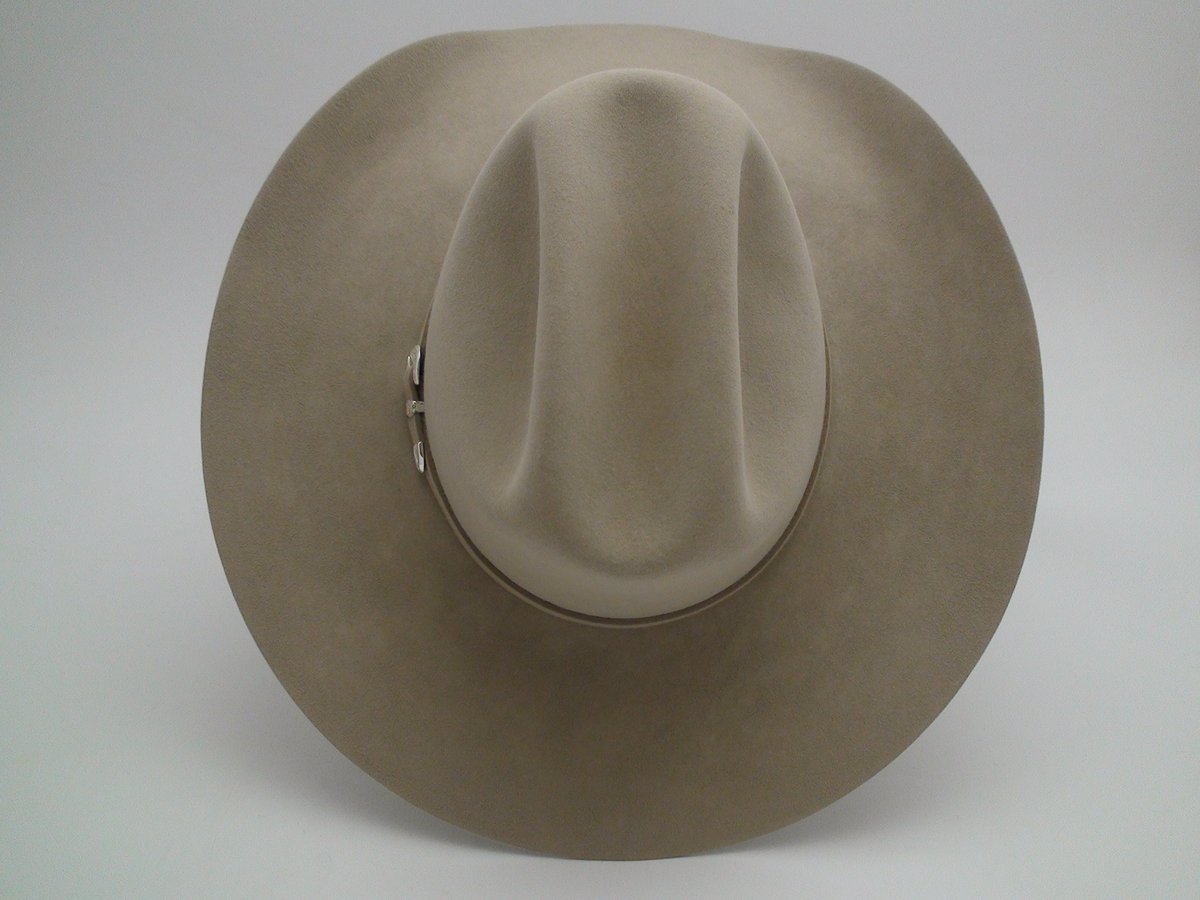Stetson 5X Beaver Silverbelly Western Cowboy Hat