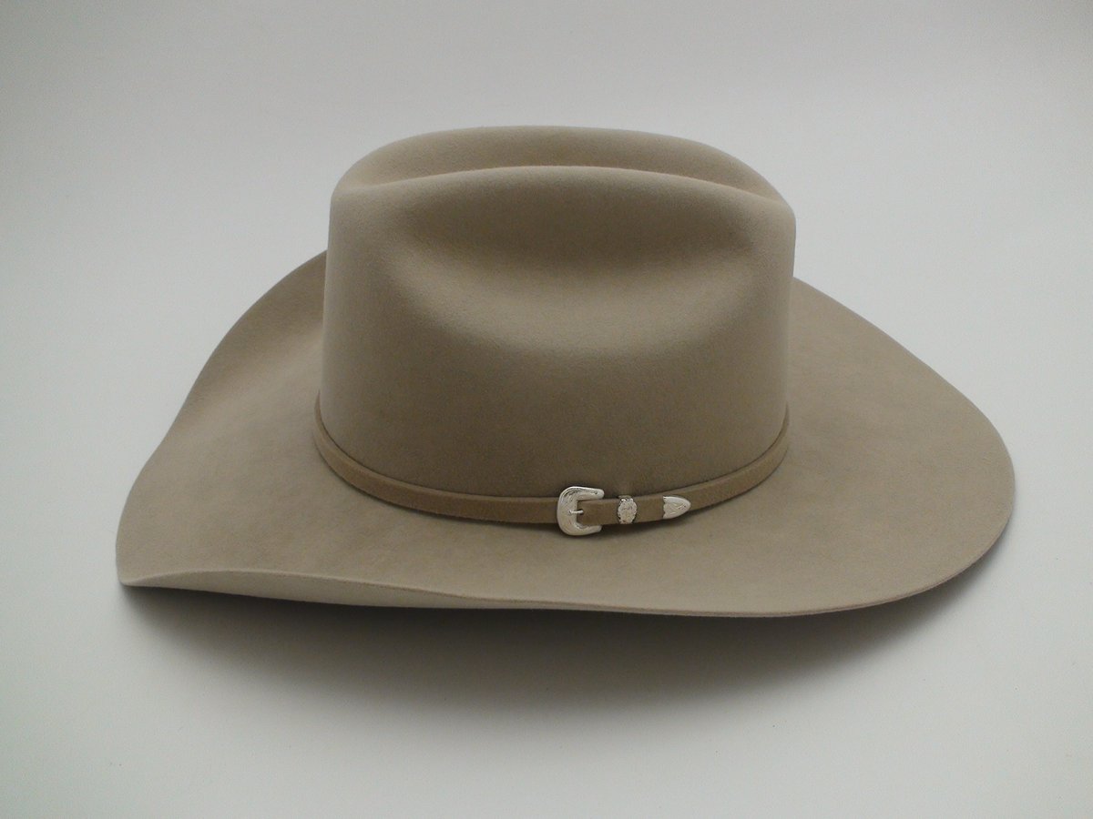Stetson 5X Beaver Silverbelly Western Cowboy Hat