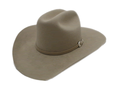 Stetson 5X Beaver Silverbelly Western Cowboy Hat