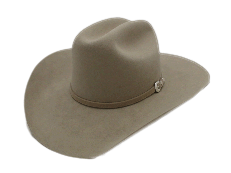Stetson 5X Beaver Silverbelly Western Cowboy Hat