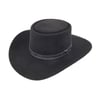 Stetson Revenger 4X Buffalo Felt Cowboy Hat