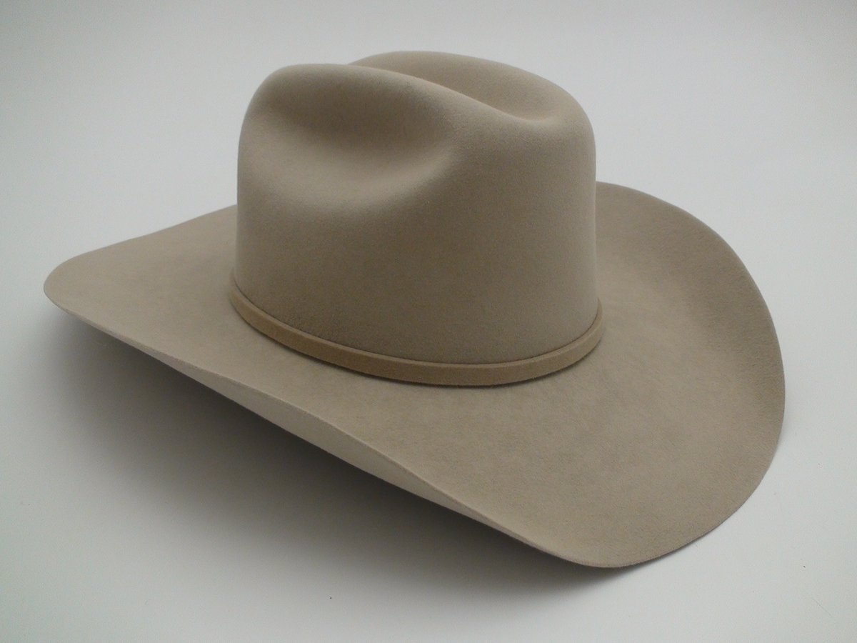 Stetson 5X Beaver Silverbelly Western Cowboy Hat